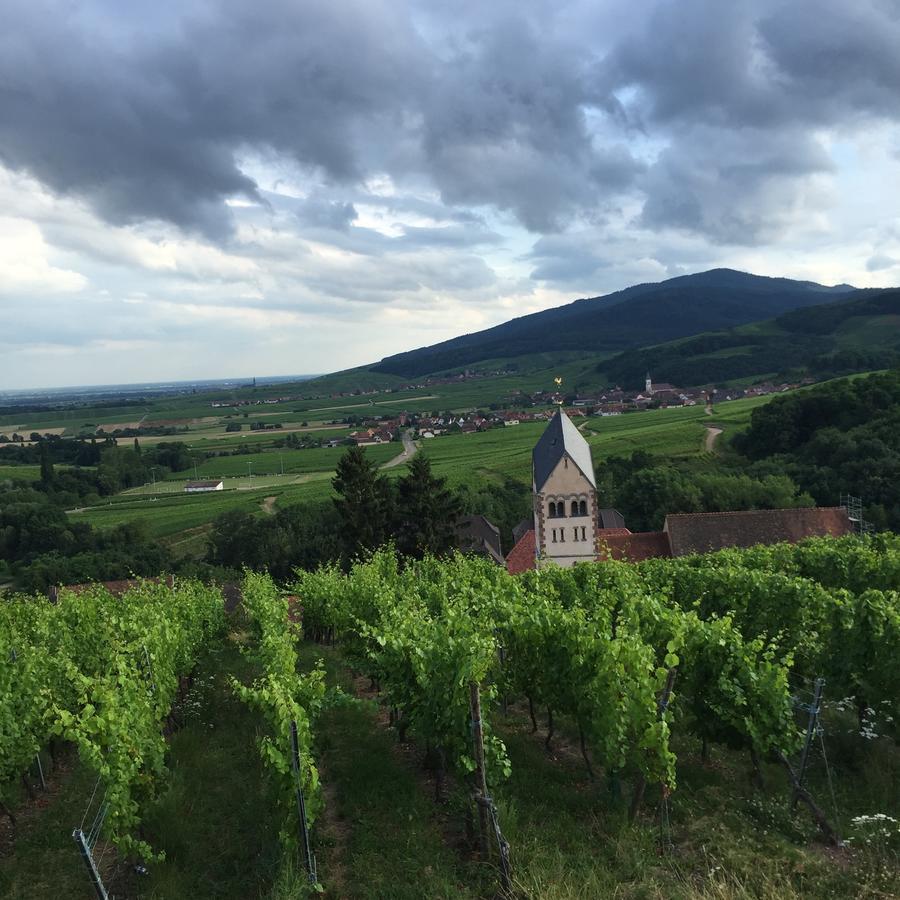 Gite Fleur De Vignes อิทเตอร์วิลเลอร์ ภายนอก รูปภาพ
