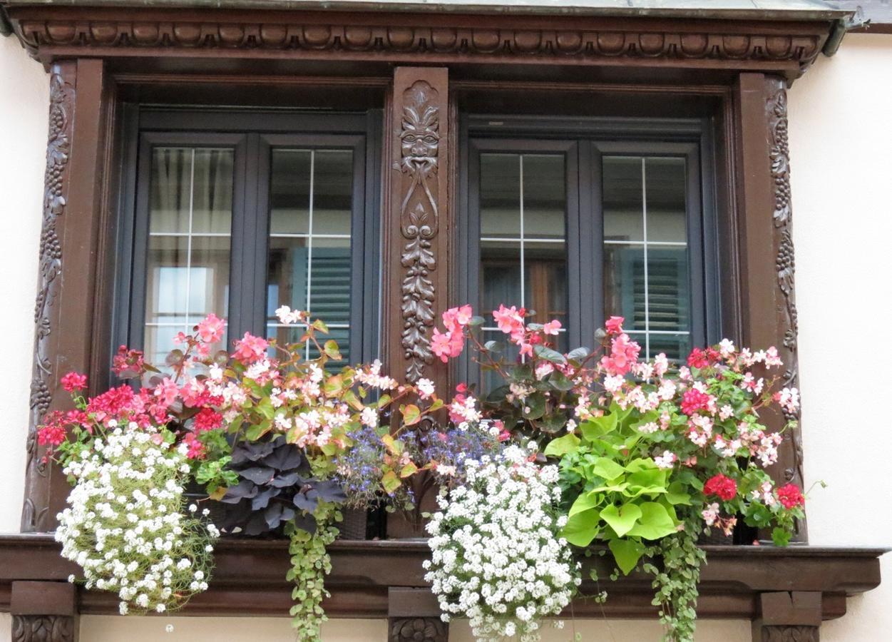 Gite Fleur De Vignes อิทเตอร์วิลเลอร์ ภายนอก รูปภาพ