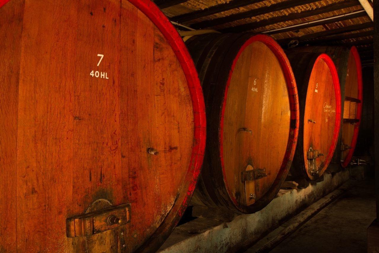 Gite Fleur De Vignes อิทเตอร์วิลเลอร์ ภายนอก รูปภาพ