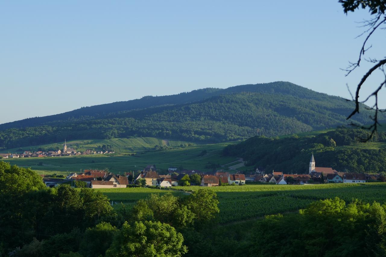 Gite Fleur De Vignes อิทเตอร์วิลเลอร์ ภายนอก รูปภาพ